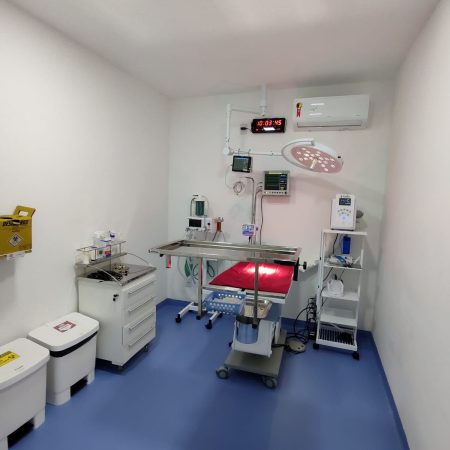 WhatsApp Image 2025-06-26 at 15.41.42